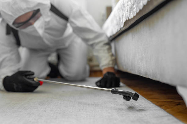 Professional Termite Control technician working in Woodlake, CA