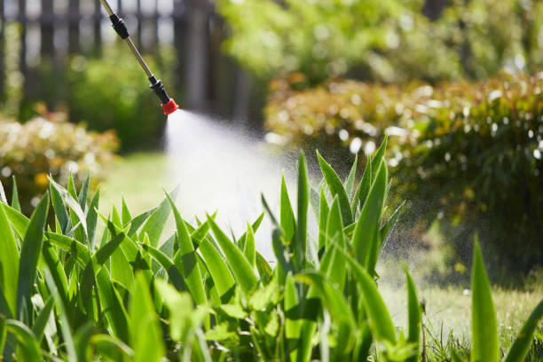 24/7 Emergency Termite Control experts in Woodlake, CA